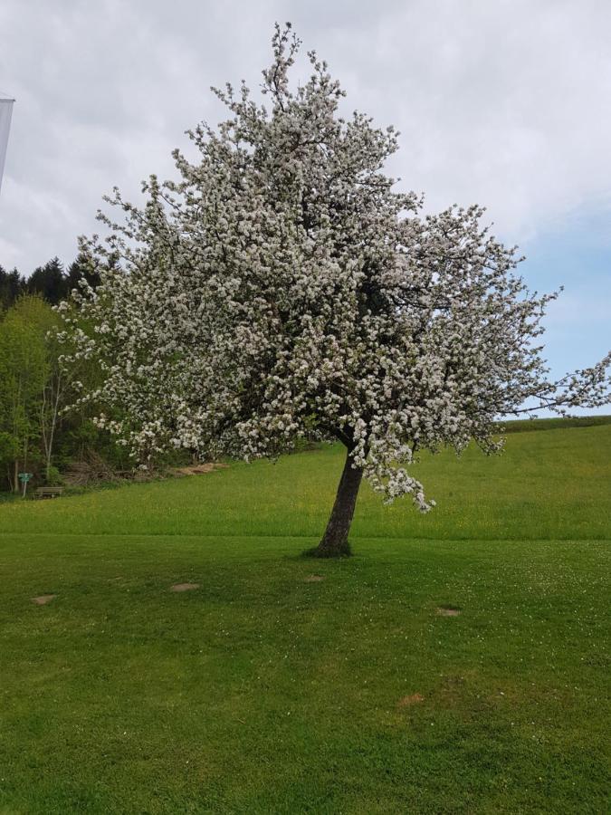 Berg Hotel Weingarten Garni リムシュティング エクステリア 写真