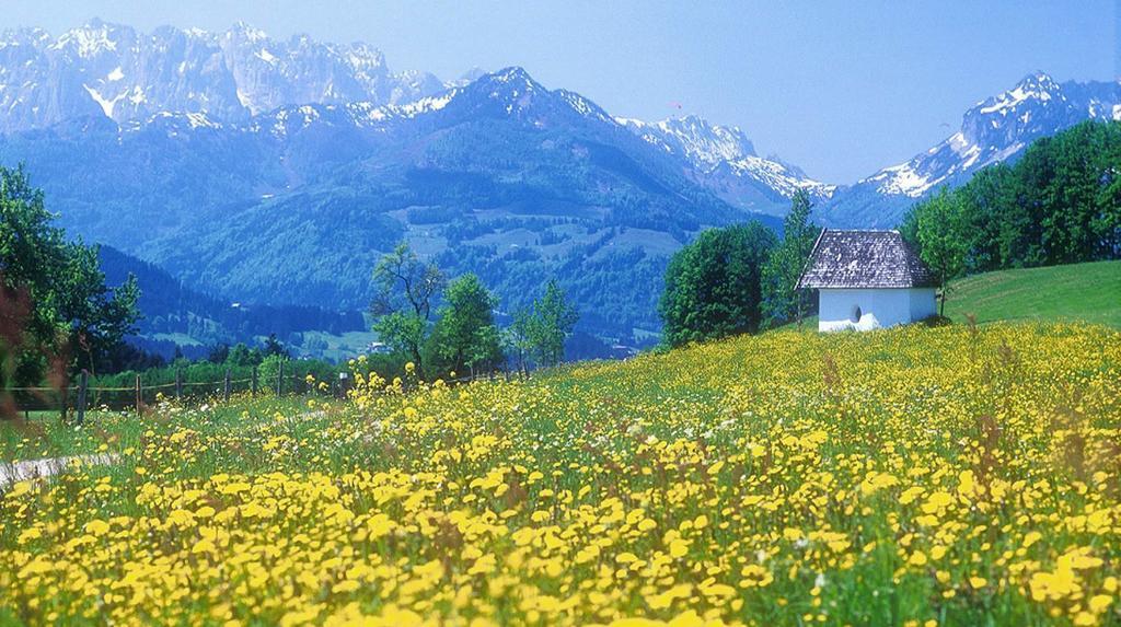 Berg Hotel Weingarten Garni リムシュティング 部屋 写真
